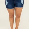 Above The Rest Shorts, Dark Wash -Beyond Basics AboveTheRestShorts DarkWash 0078