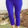 Business Lady Pants, Cobalt -Beyond Basics BusinessLadyPants Cobalt 2