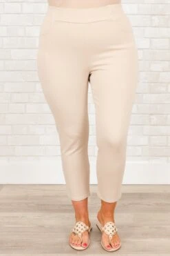 Business Lady Pants, Oatmeal -Beyond Basics BusinessLadyPants Oatmeal 3