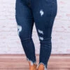 All Season Long Skinny Jeans, Dark Wash -Beyond Basics DSC 1744