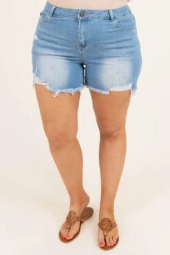 Friyay Shorts, Medium Wash -Beyond Basics FriyayShorts MediumWash 0910