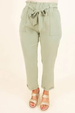 Nice For Once Pants, Sage 11 Nice For Once Pants, Sage -Beyond Basics NiceForOncePants Sage 9875