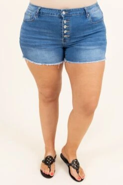 Summertime Heat Shorts, Medium Wash