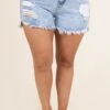 The Only One Shorts, Light Wash -Beyond Basics TheOnlyOneShorts LightWash 2